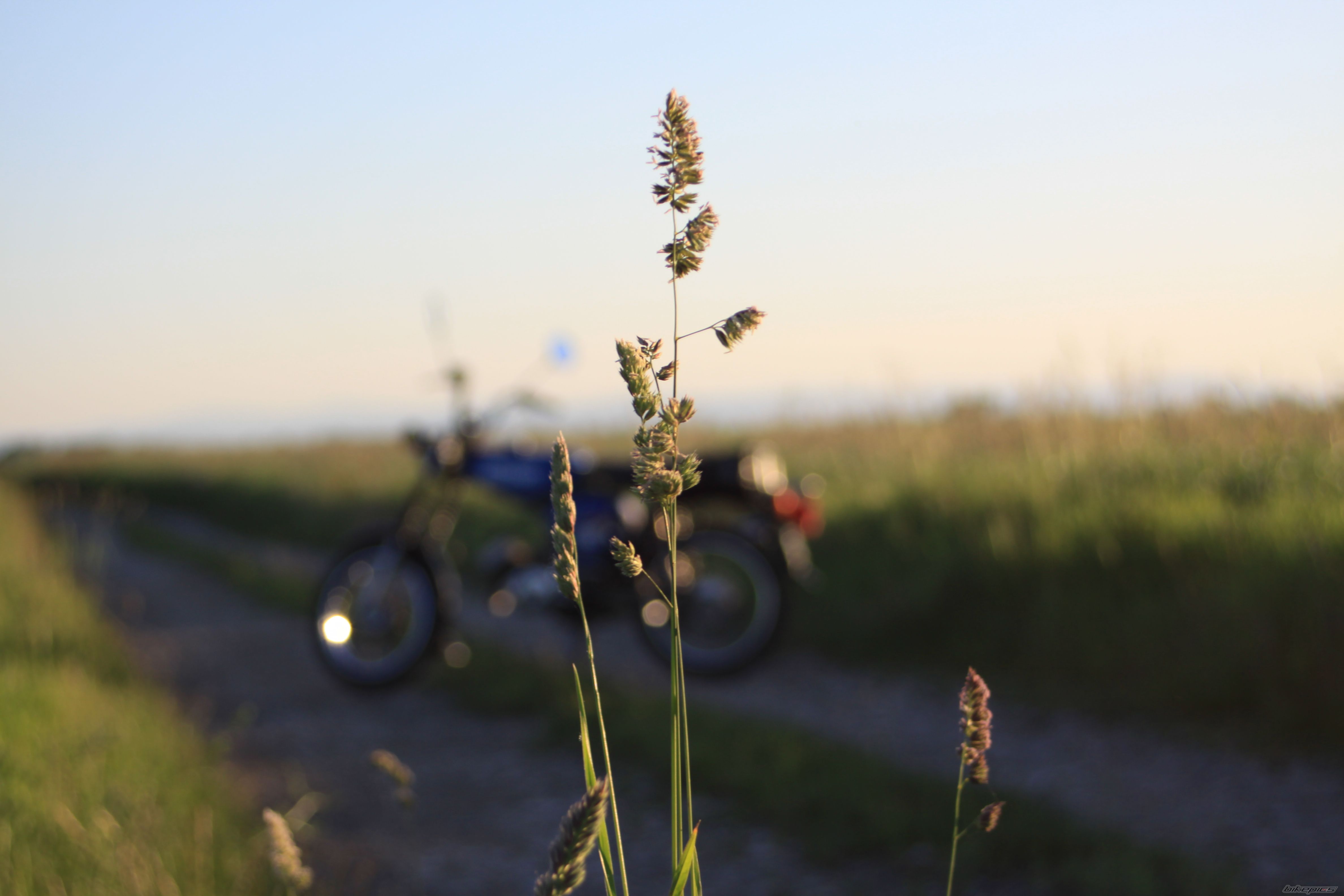 Photo 2674029