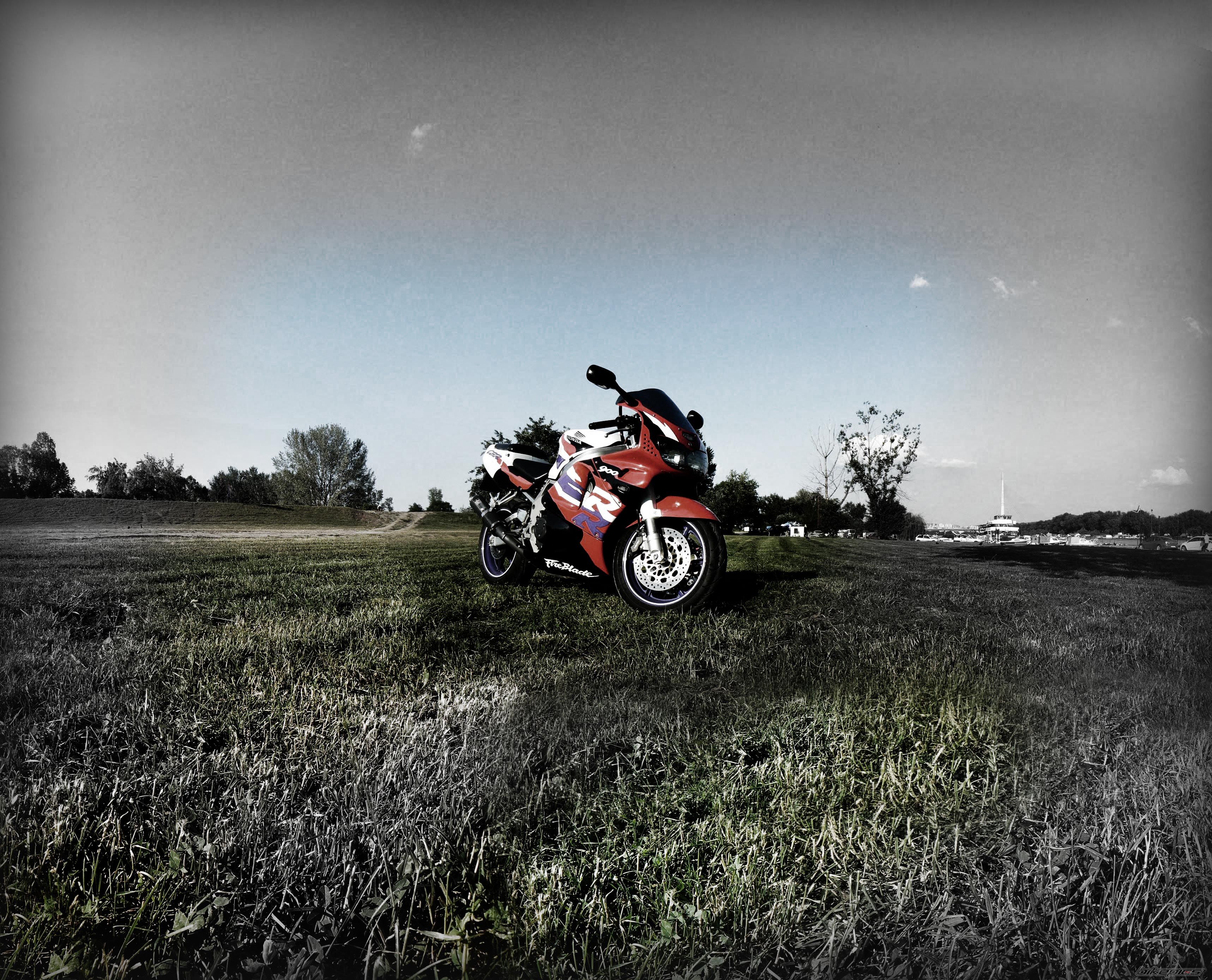 Photo 2674106