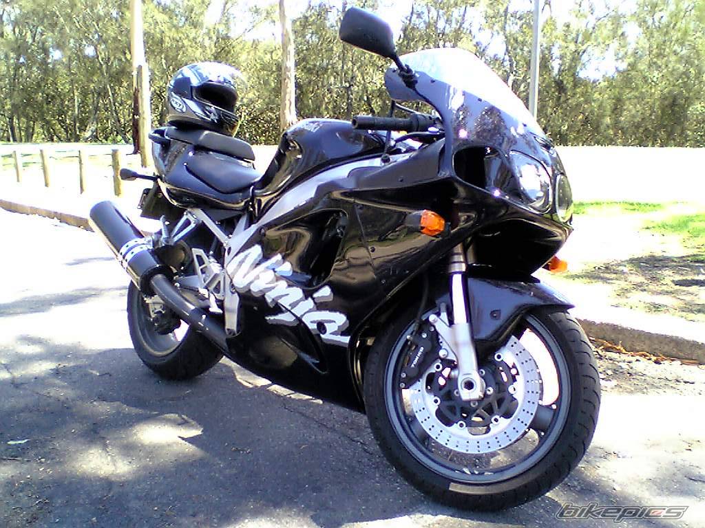 Photo 267413