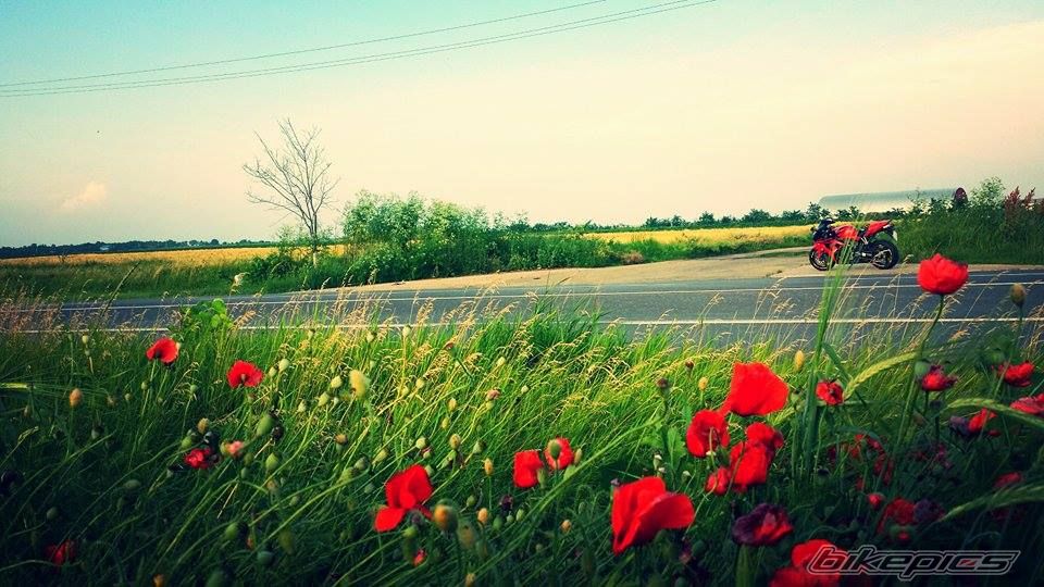 Photo 2674311