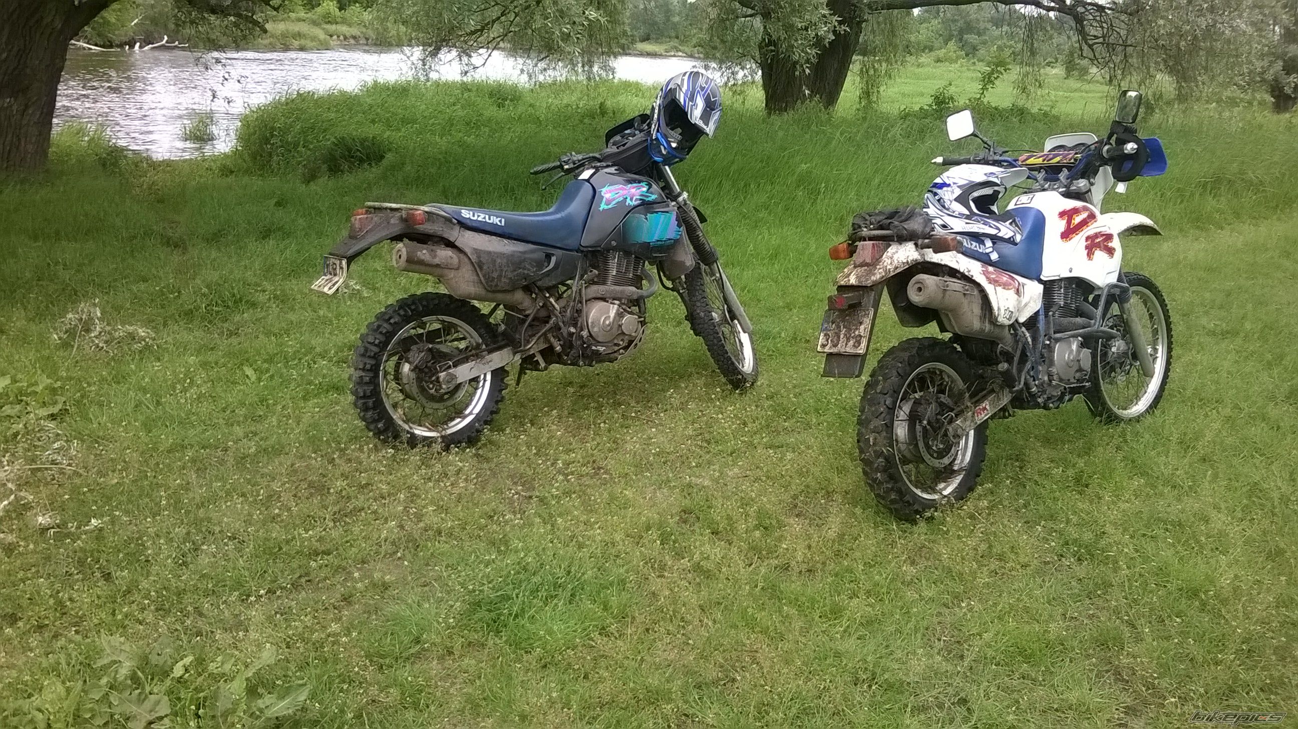 Photo 2674391