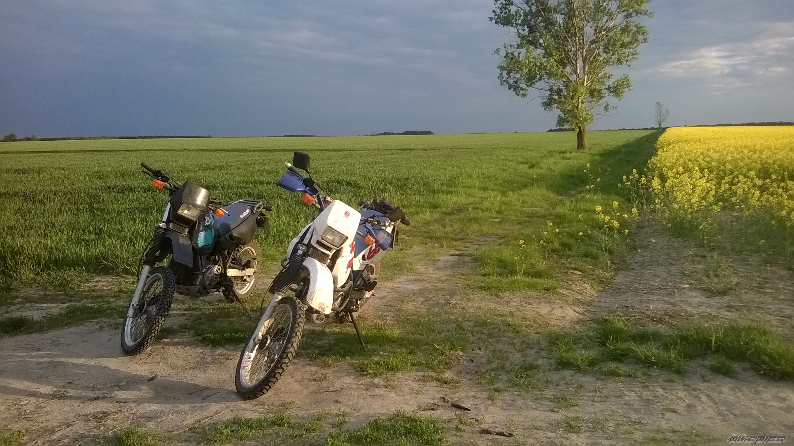 Photo 2674393