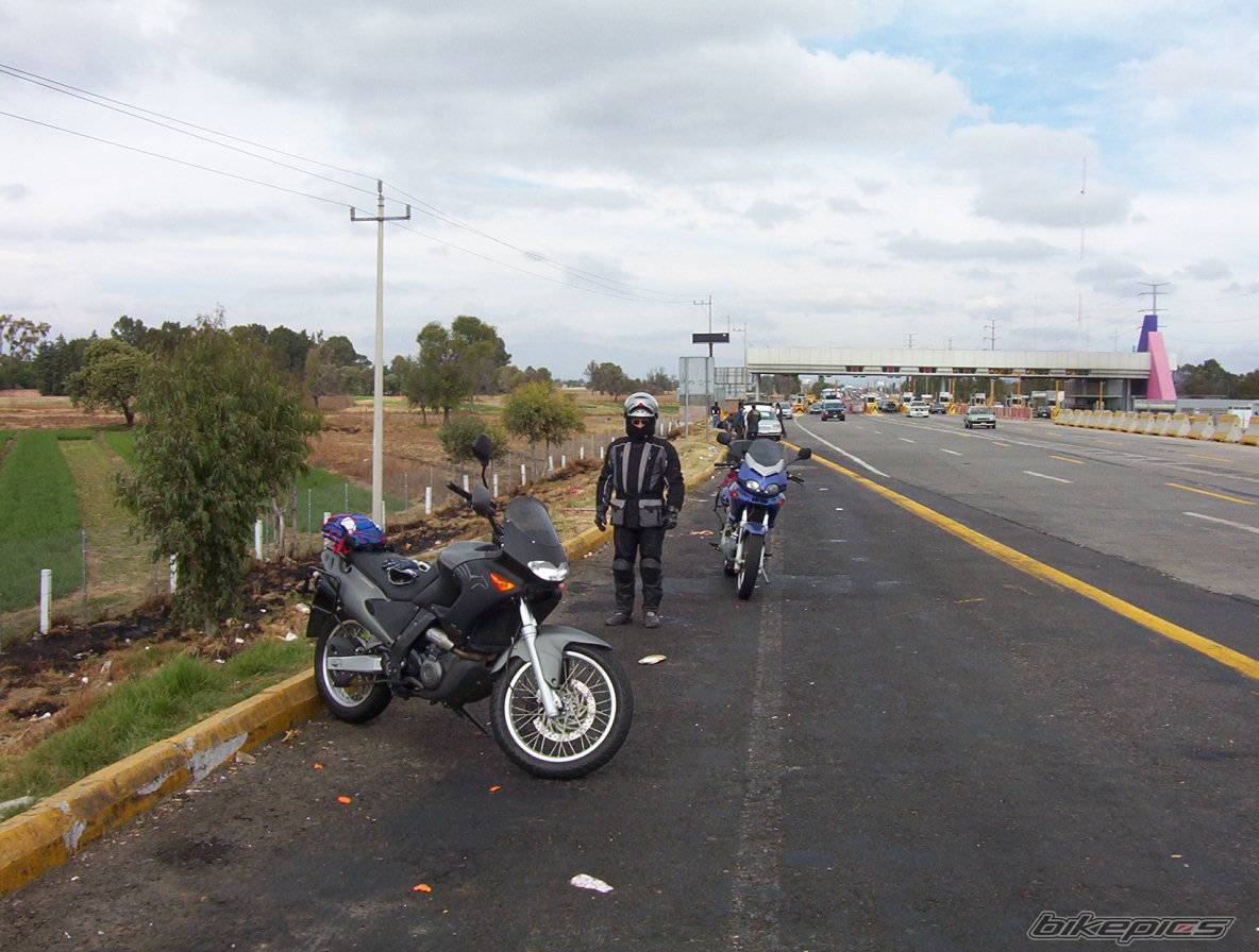 Photo 267444