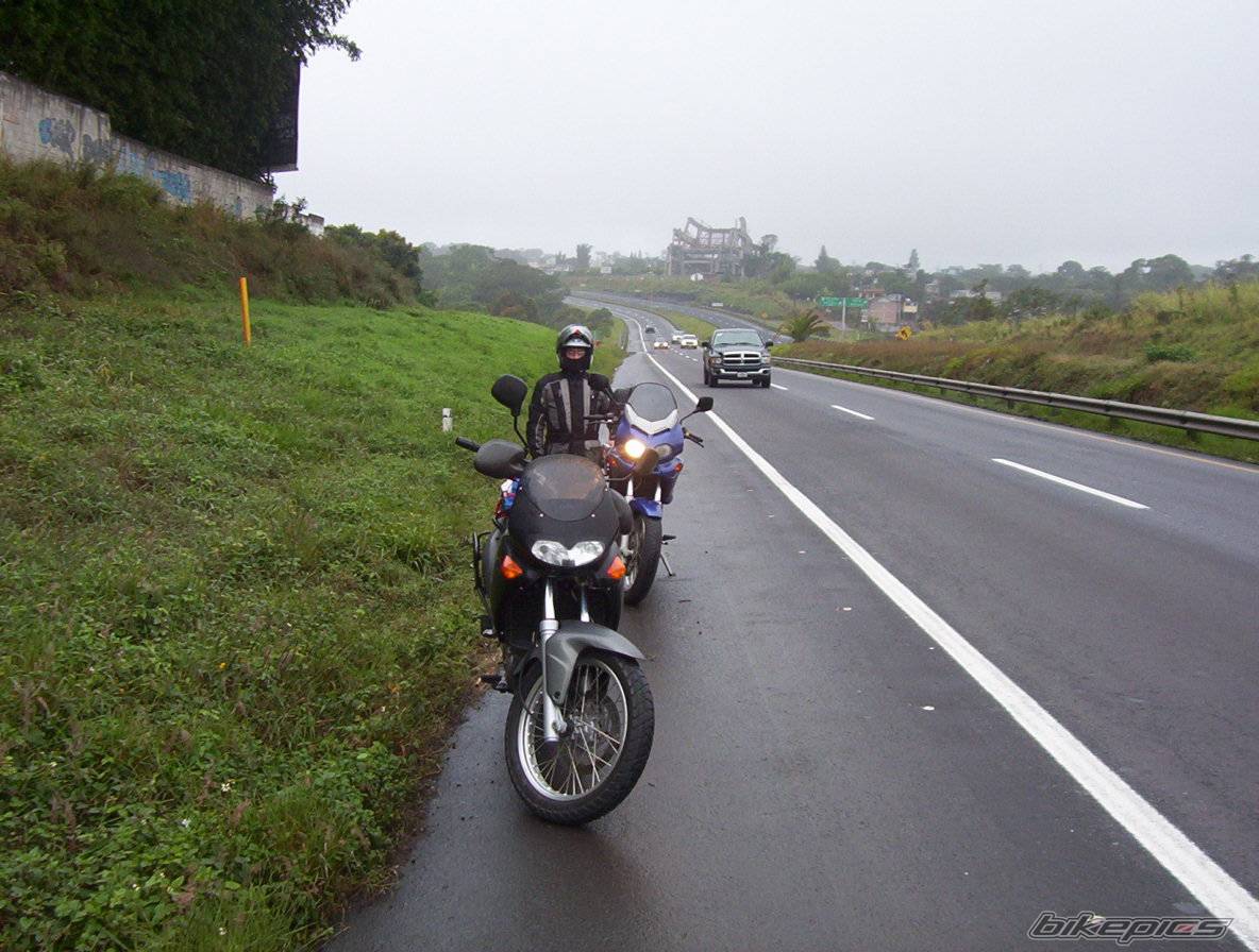 Photo 267447