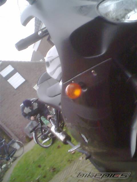 Photo 267448