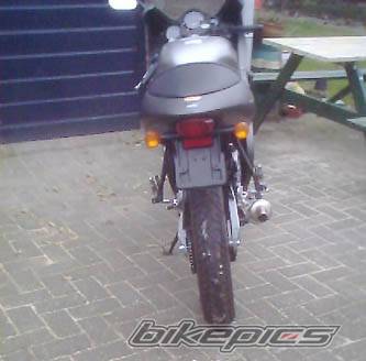 Photo 267449