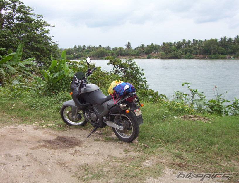 Photo 267457