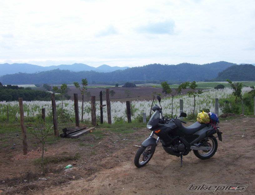 Photo 267461