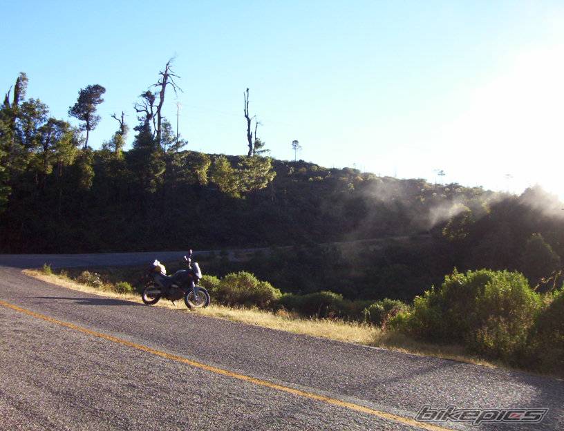 Photo 267462