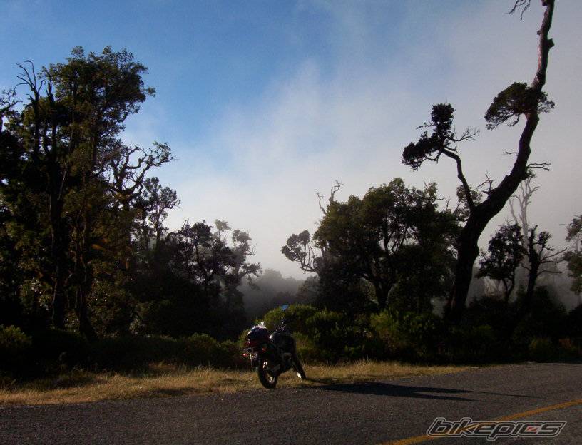 Photo 267463