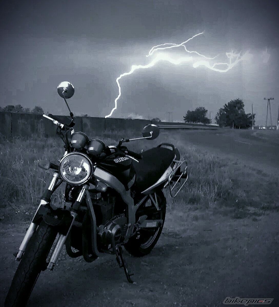 Photo 2674889