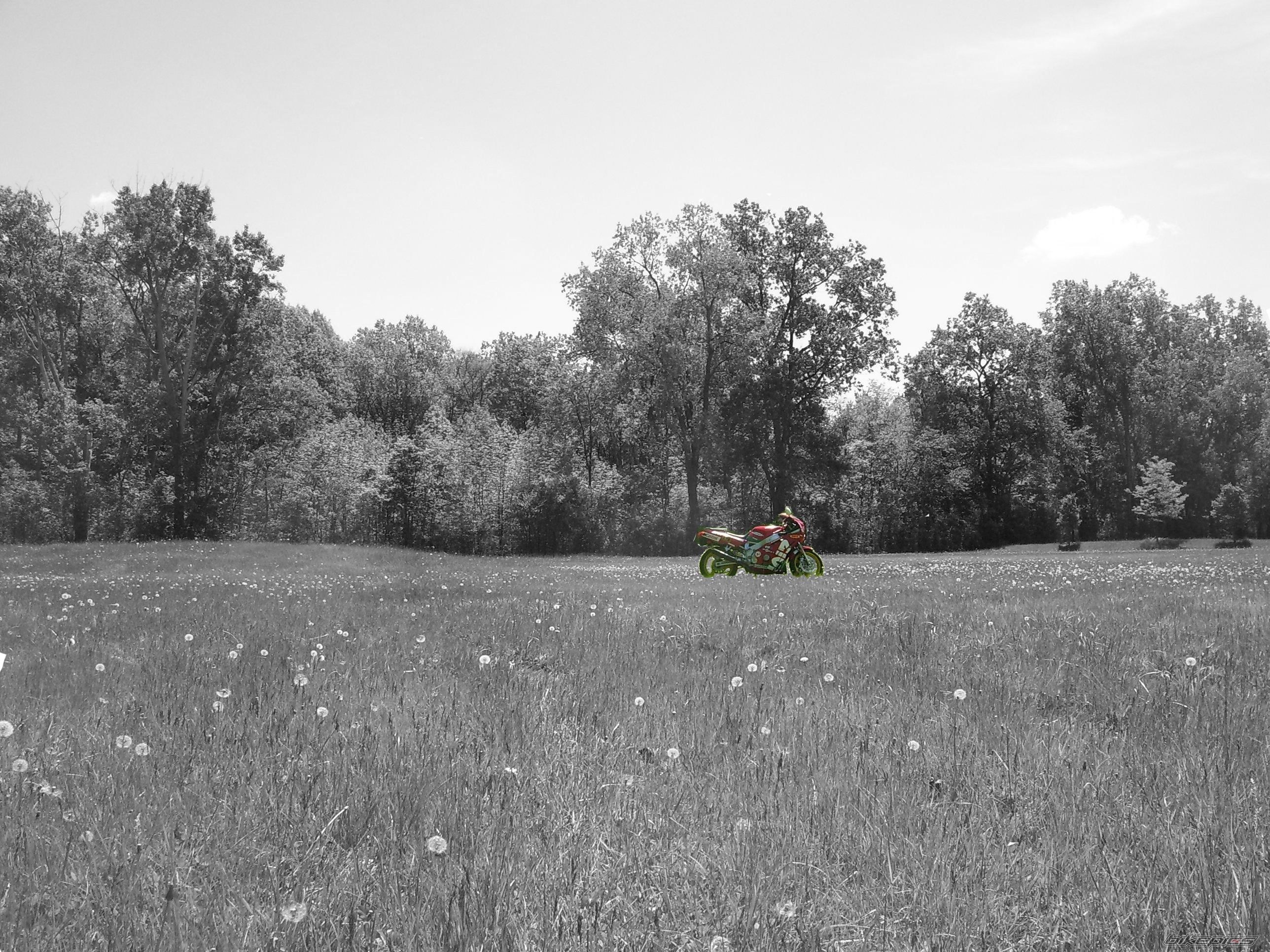 Photo 2674947