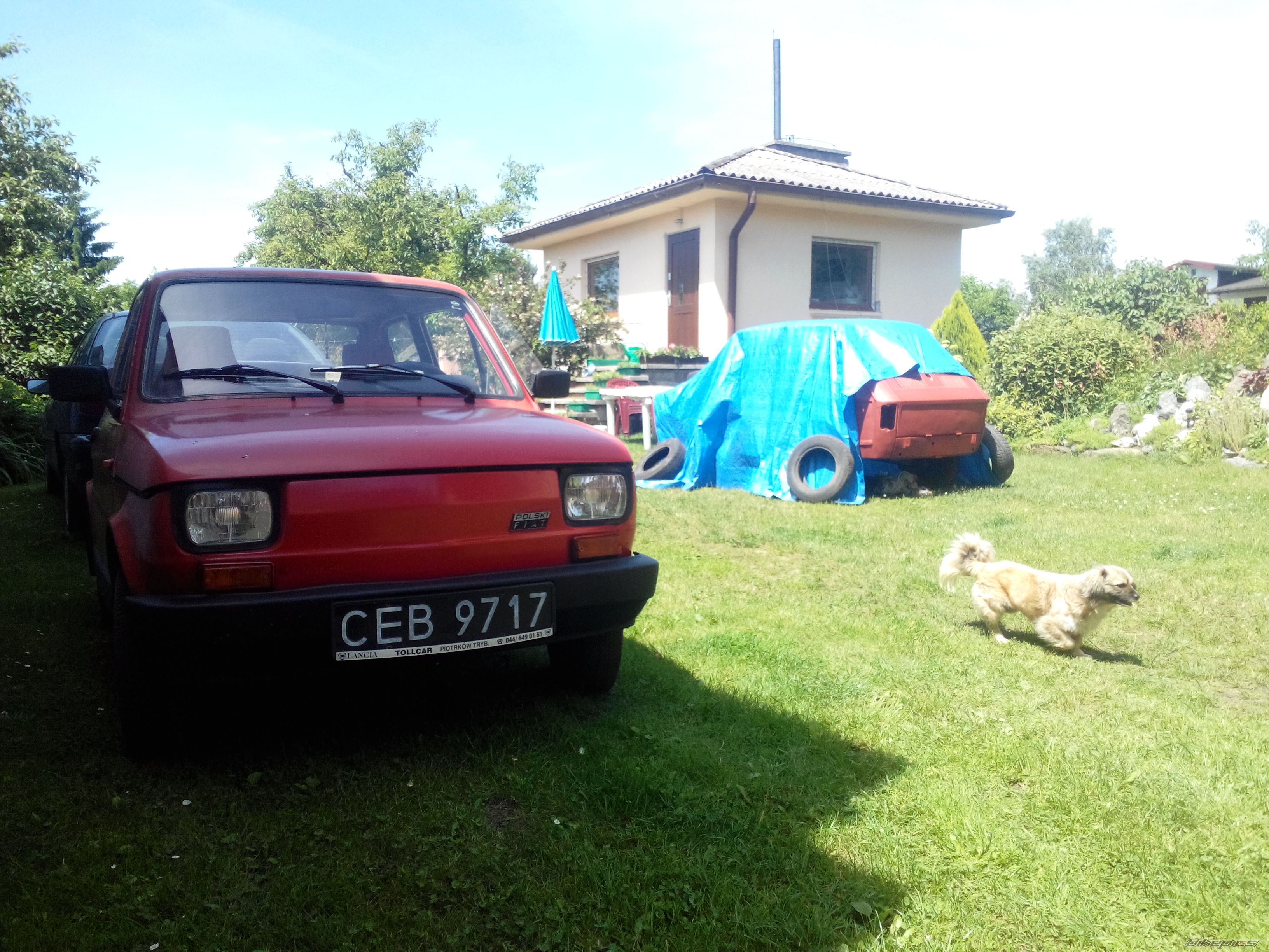 Photo 2674966