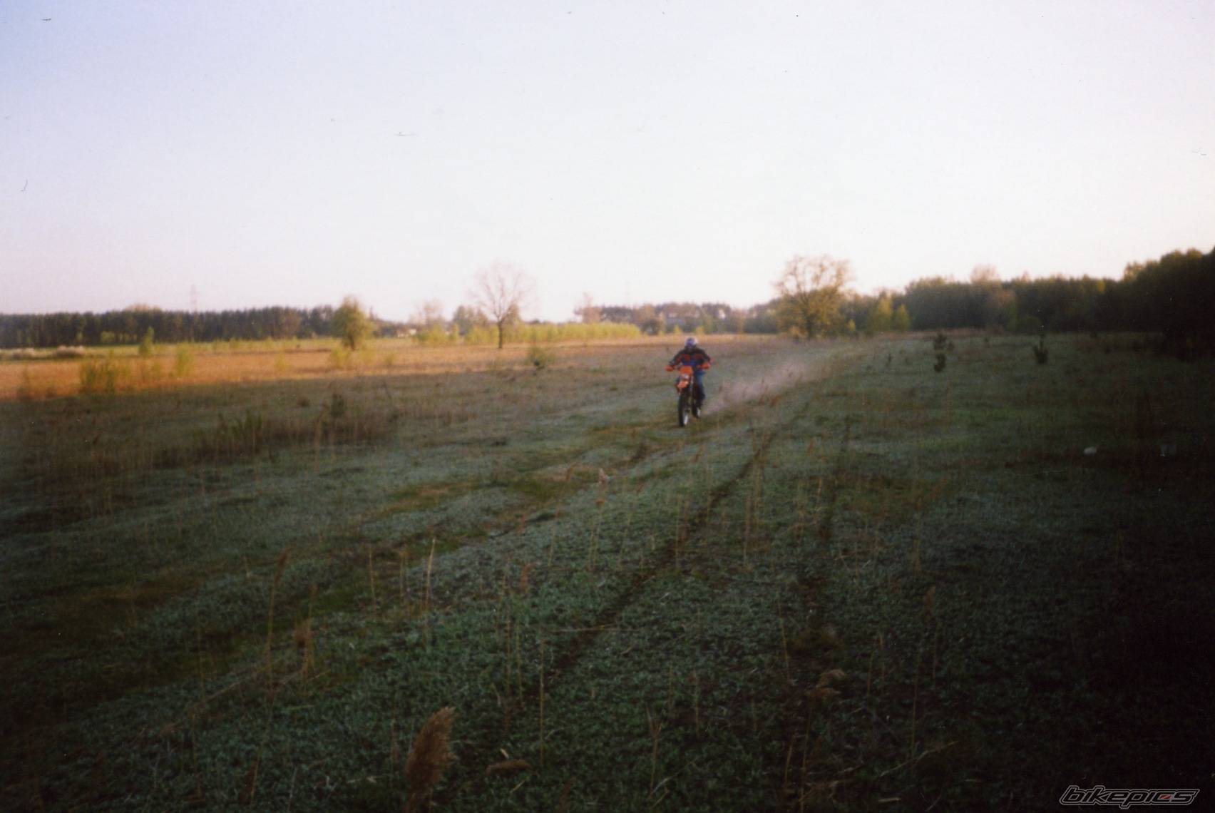Photo 267534