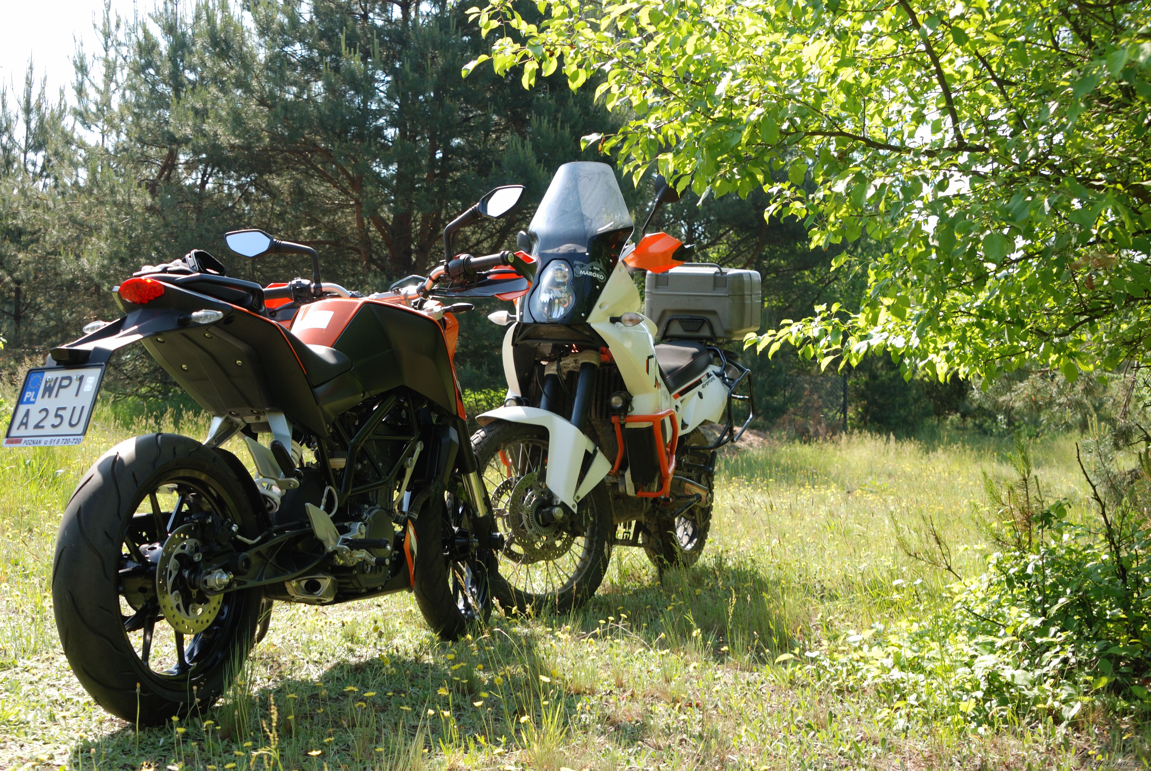 Photo 2675436
