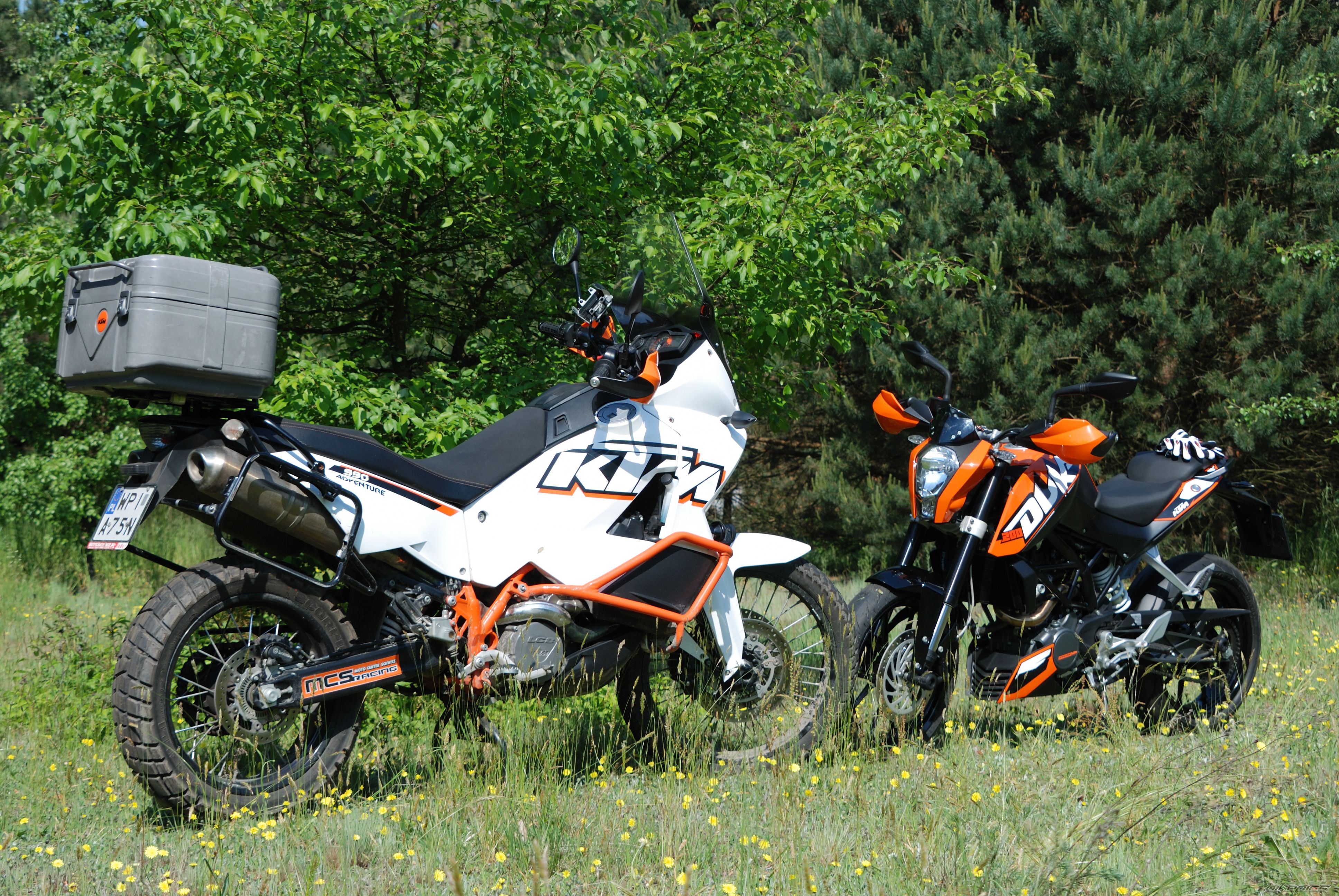 Photo 2675441