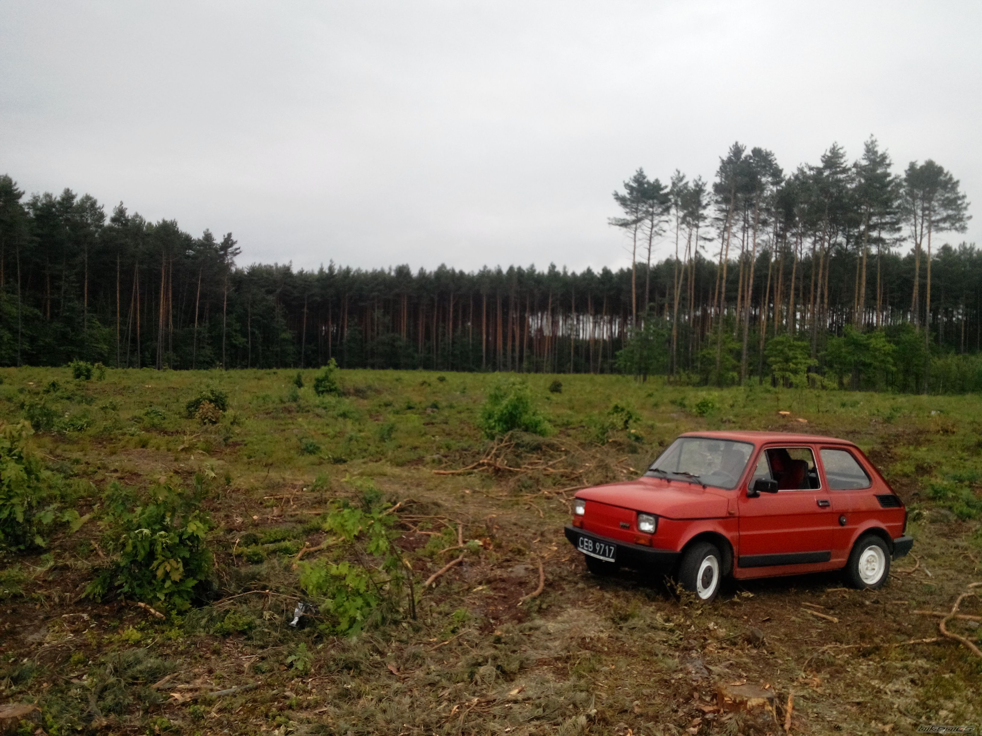 Photo 2675559