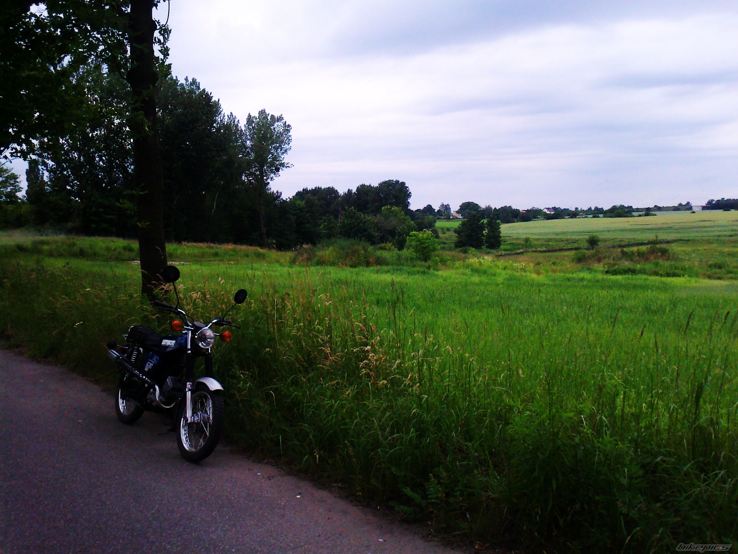 Photo 2675578