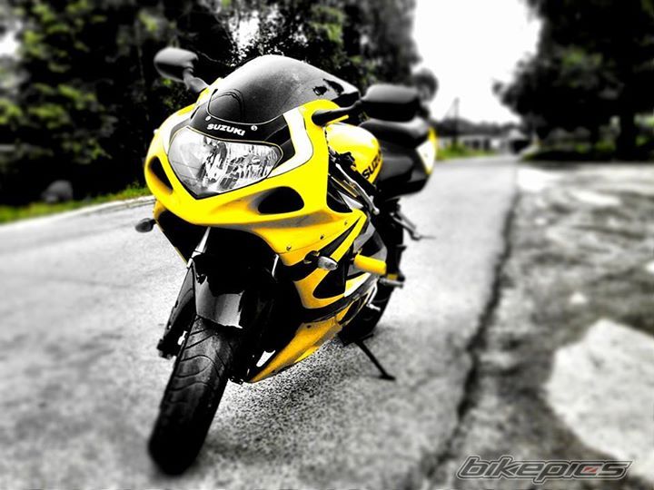 Photo 2675846