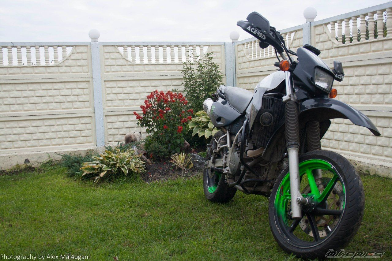 Photo 2675870