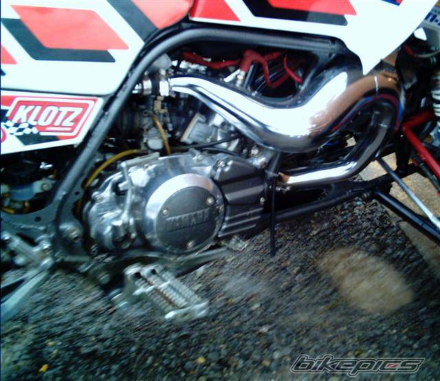 Photo 267594