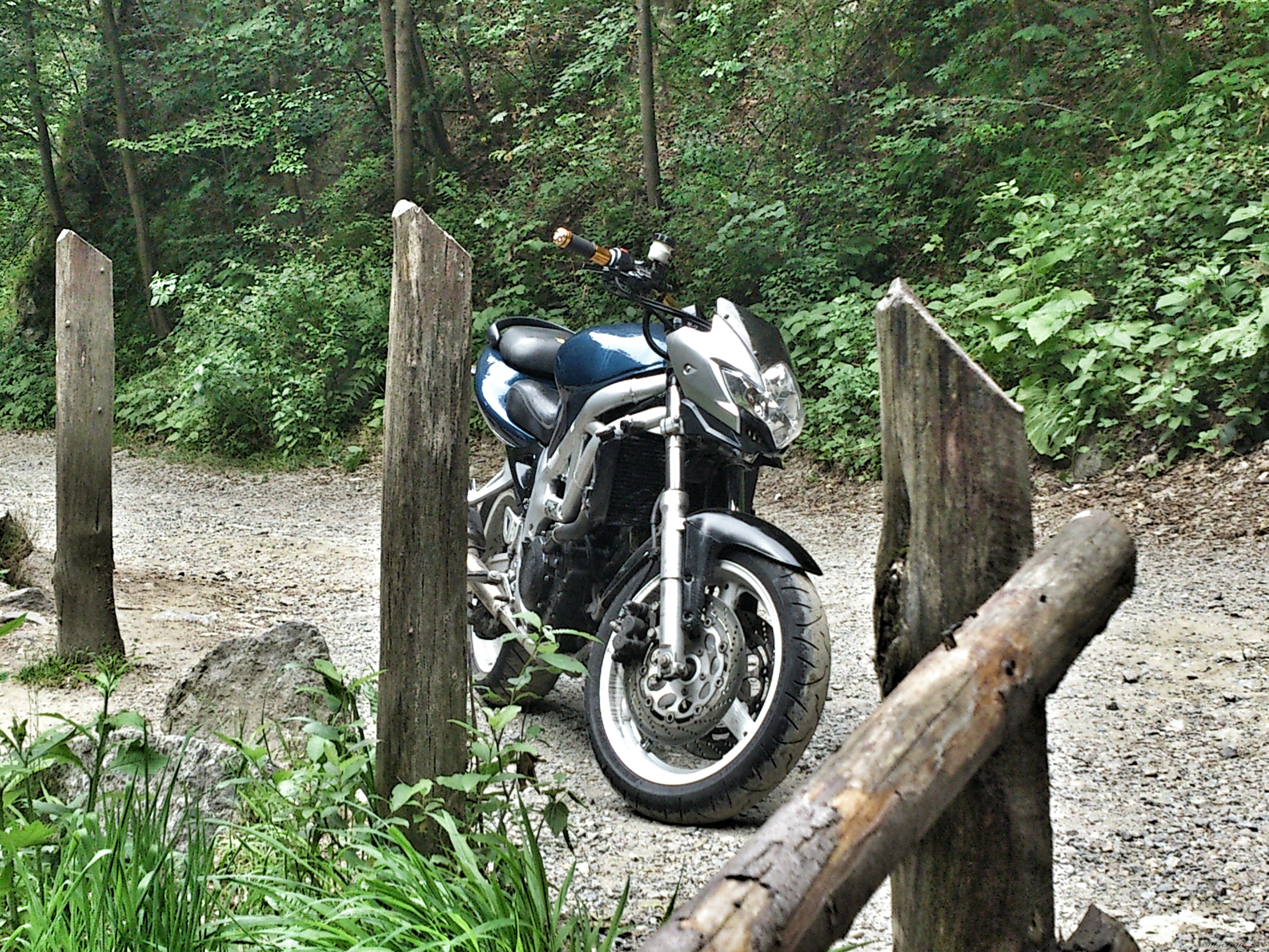 Photo 2675959