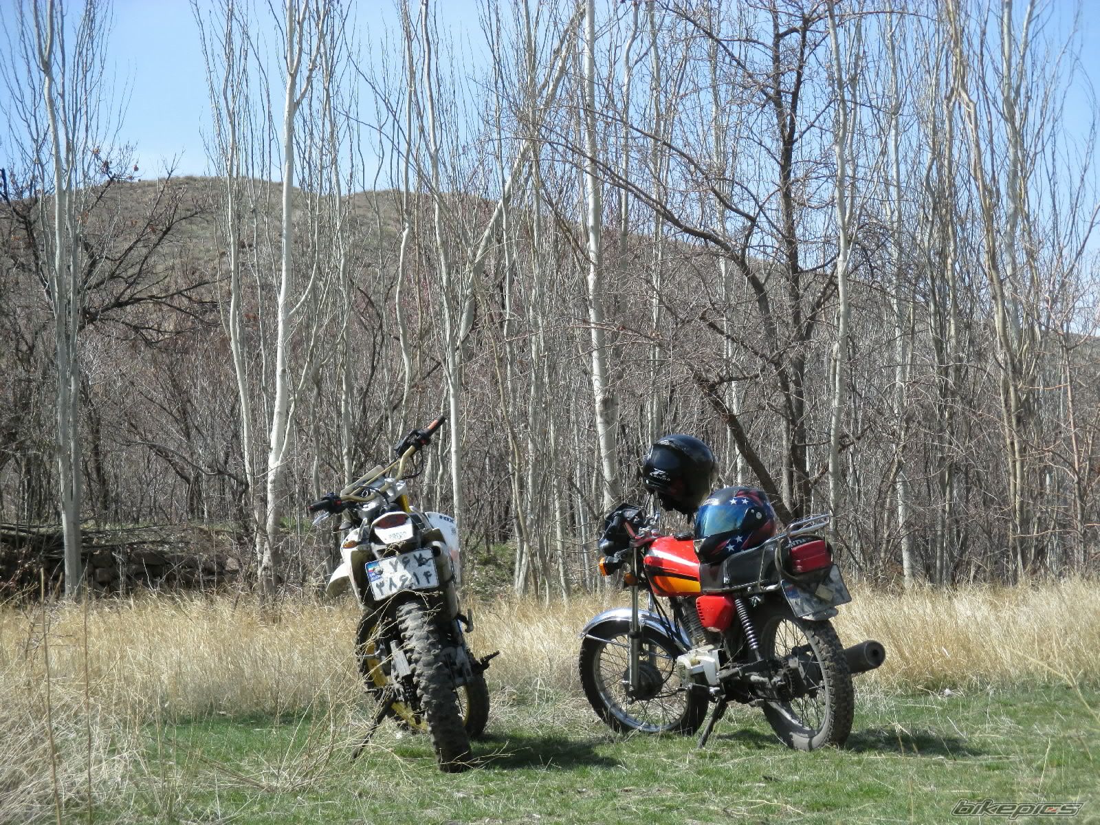 Photo 2676160