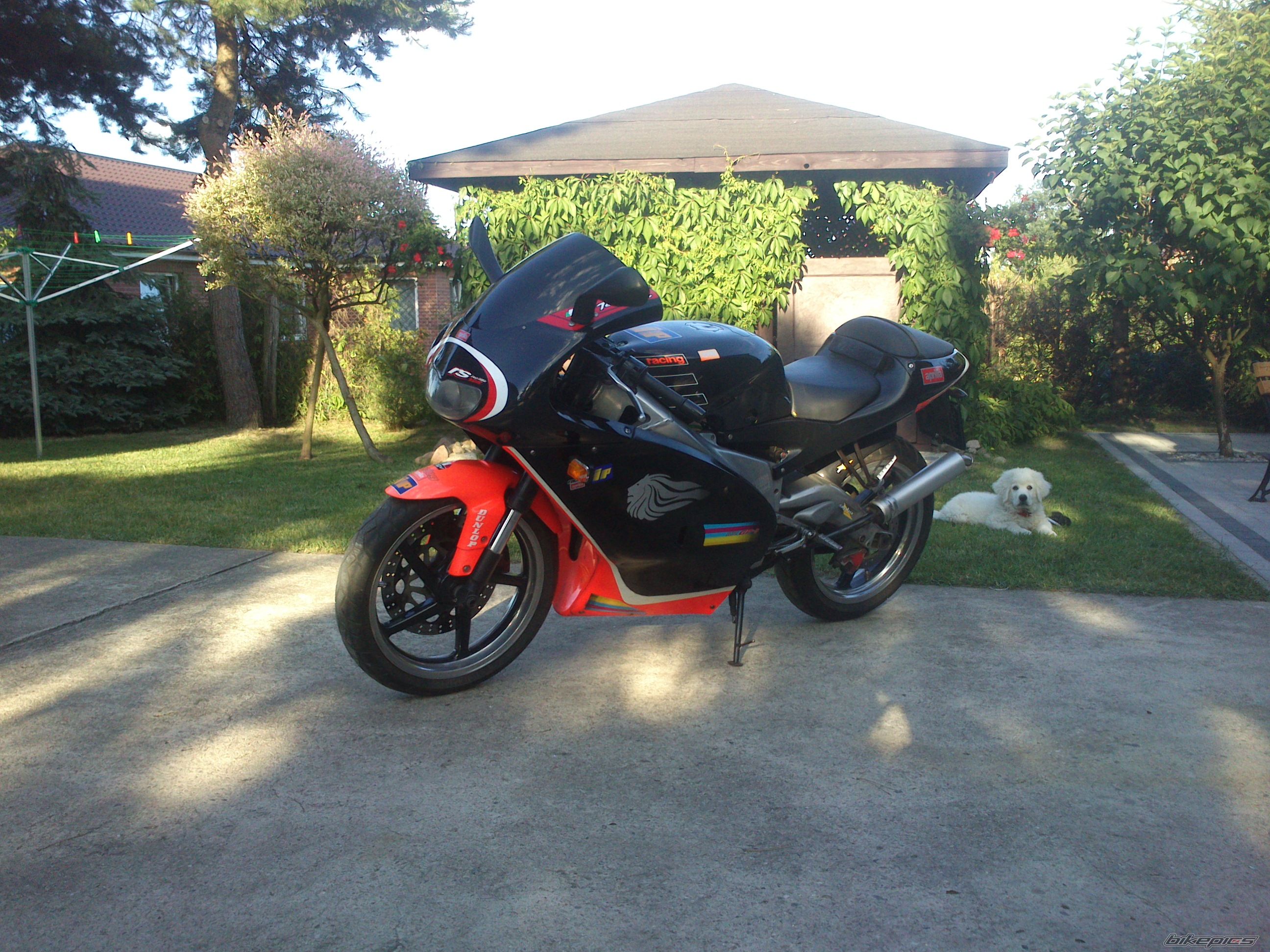 Photo 2676433