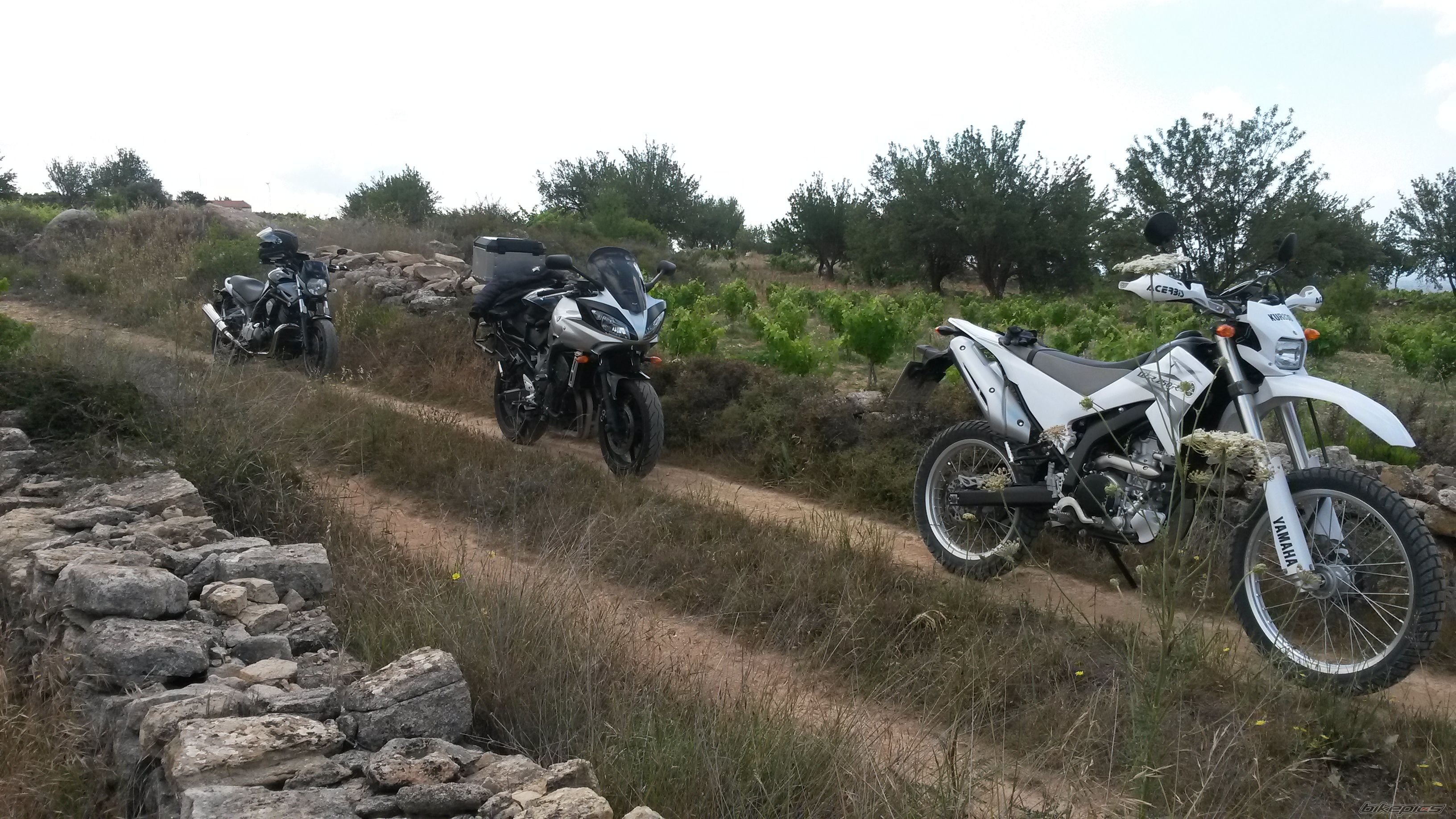 Photo 2676466