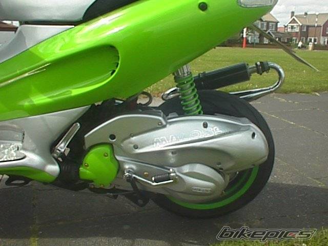 Photo 267648