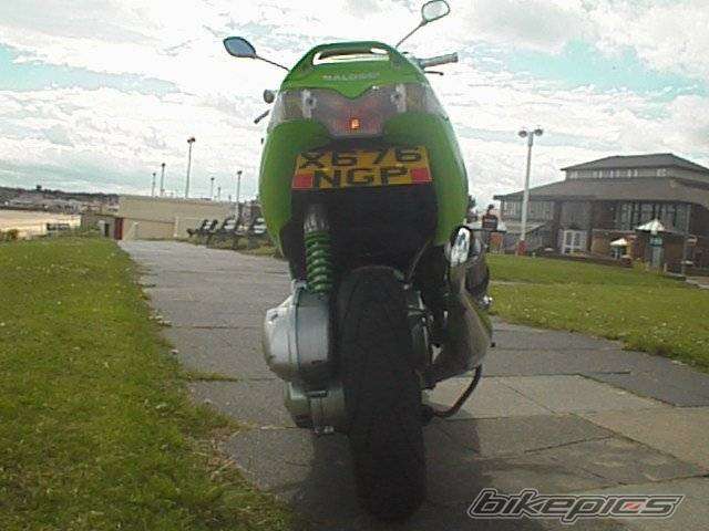 Photo 267649