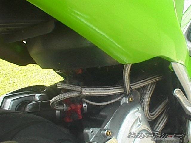 Photo 267651