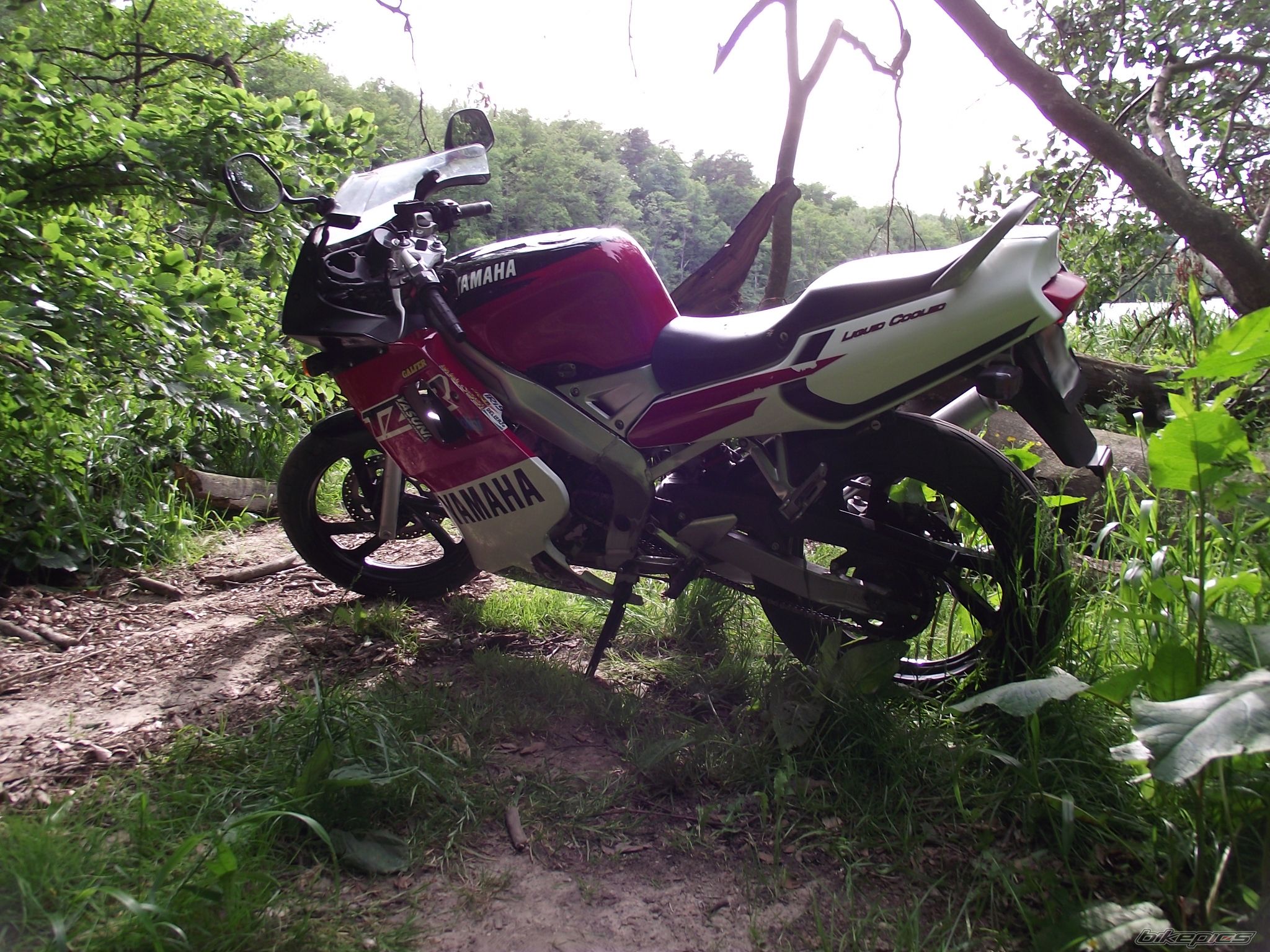 Photo 2676562