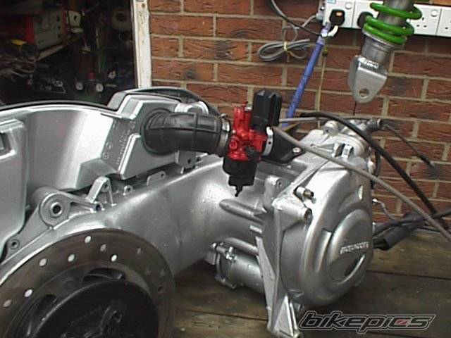 Photo 267657
