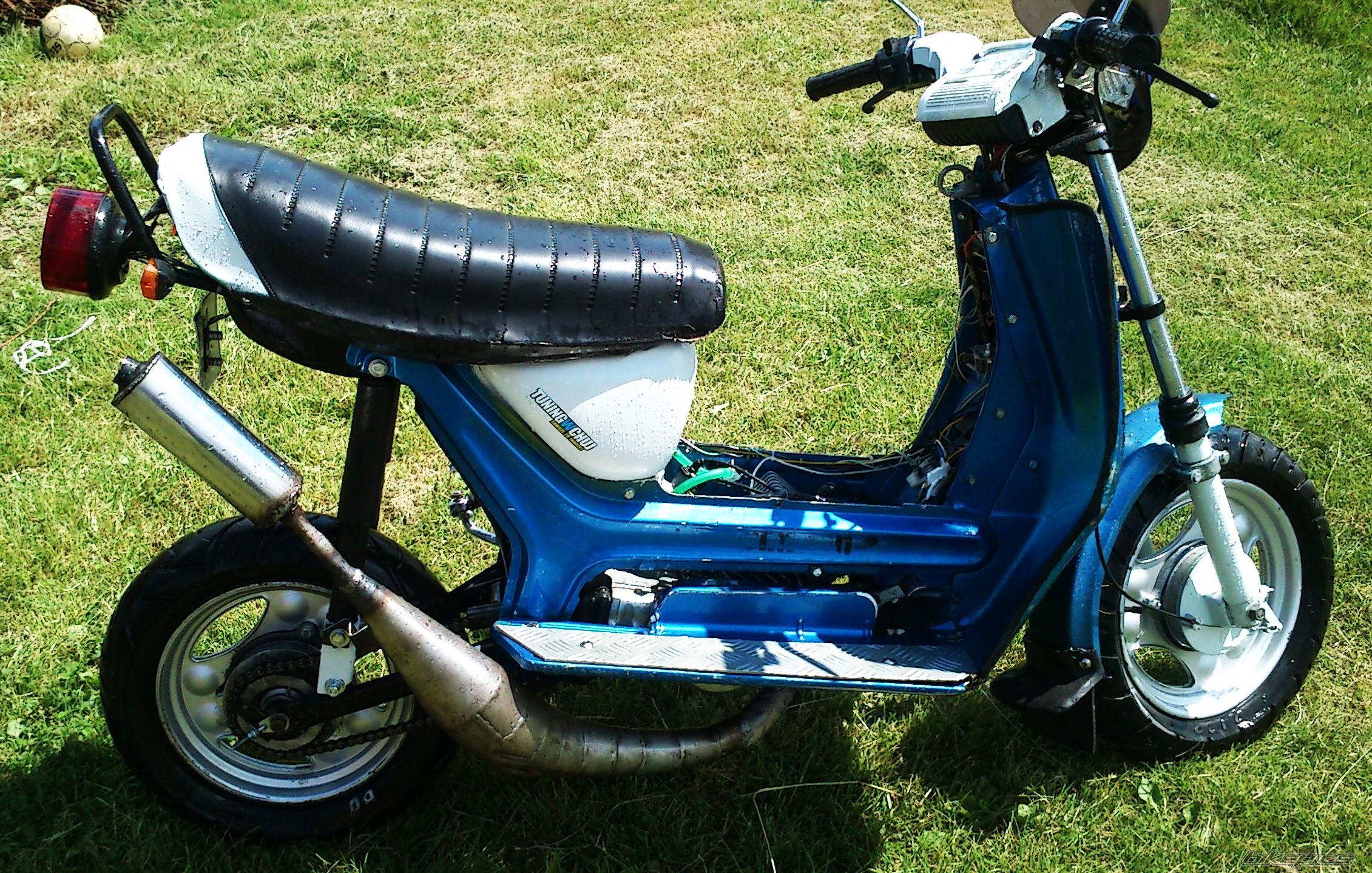 Photo 2676786
