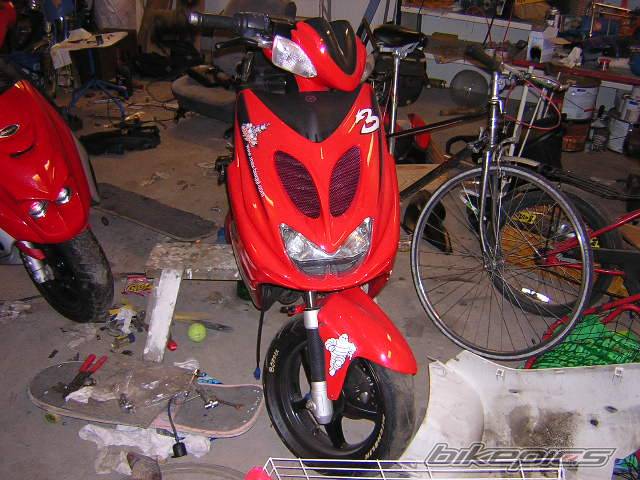 Photo 267696