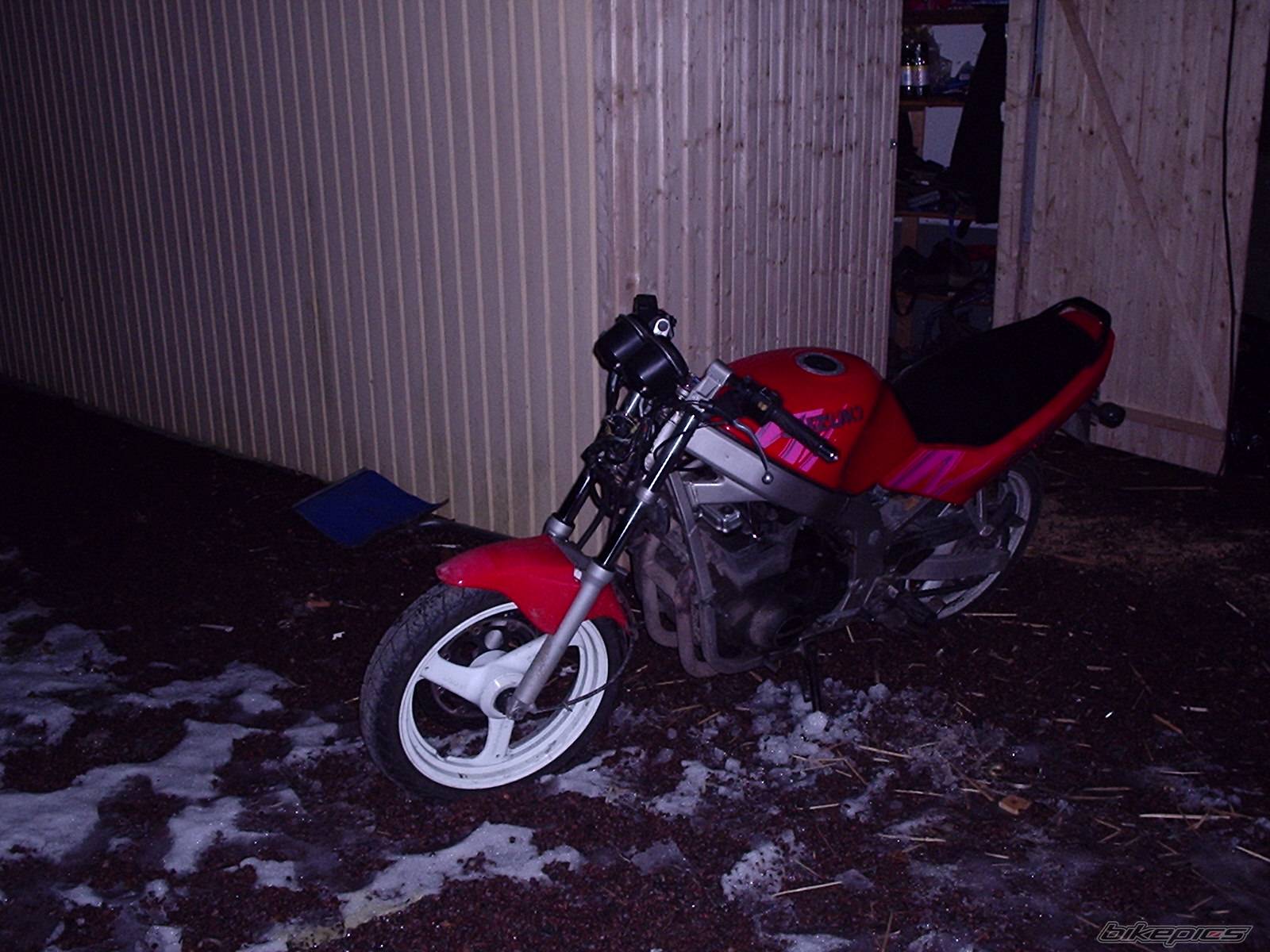 Photo 267701