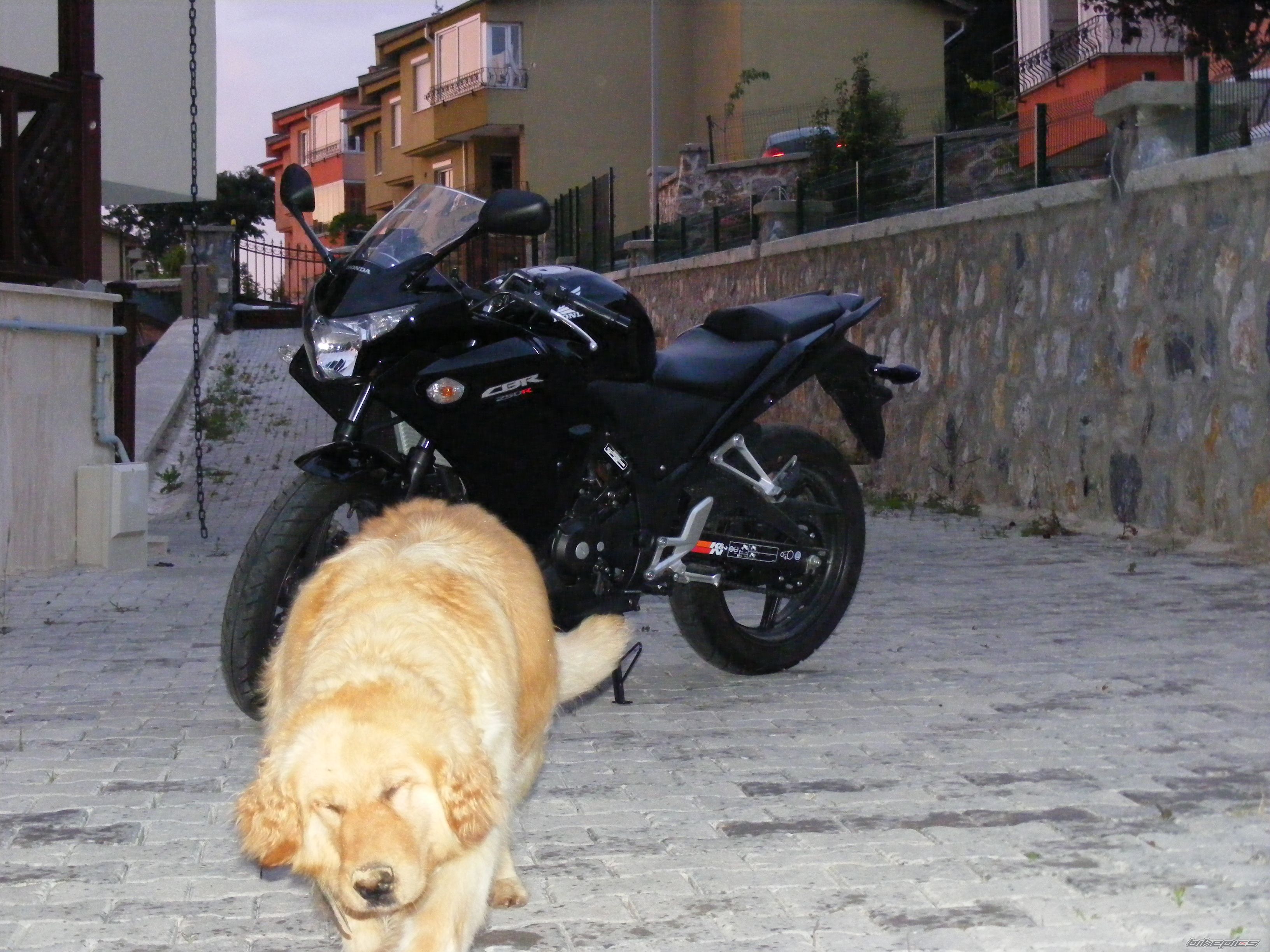Photo 2677367