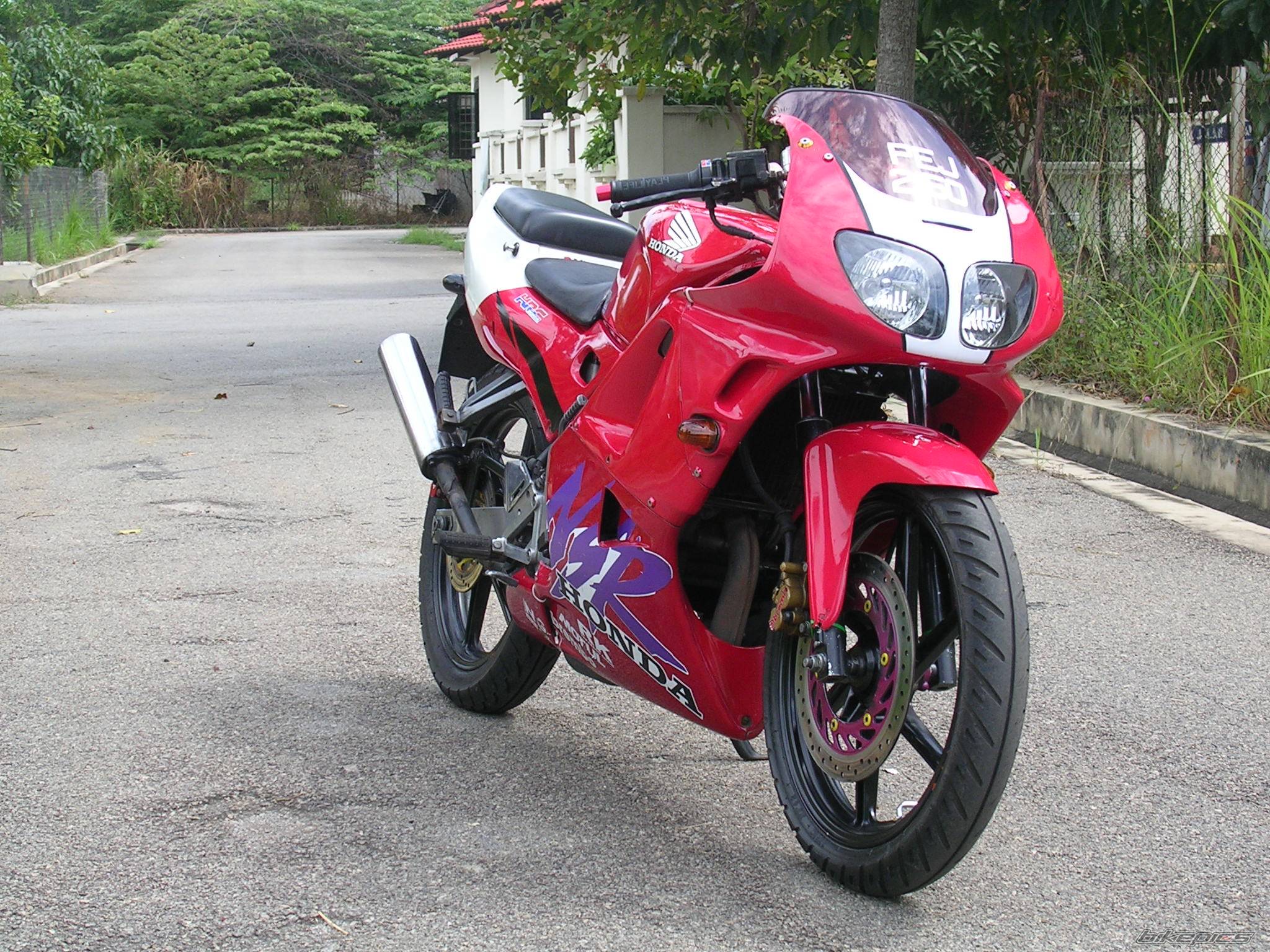 Photo 267752