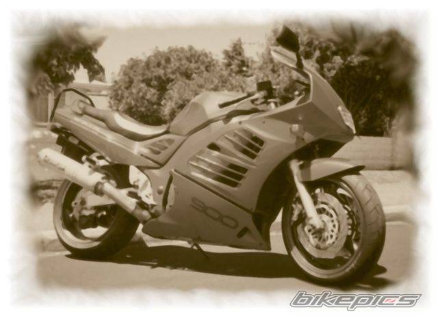 Photo 267769