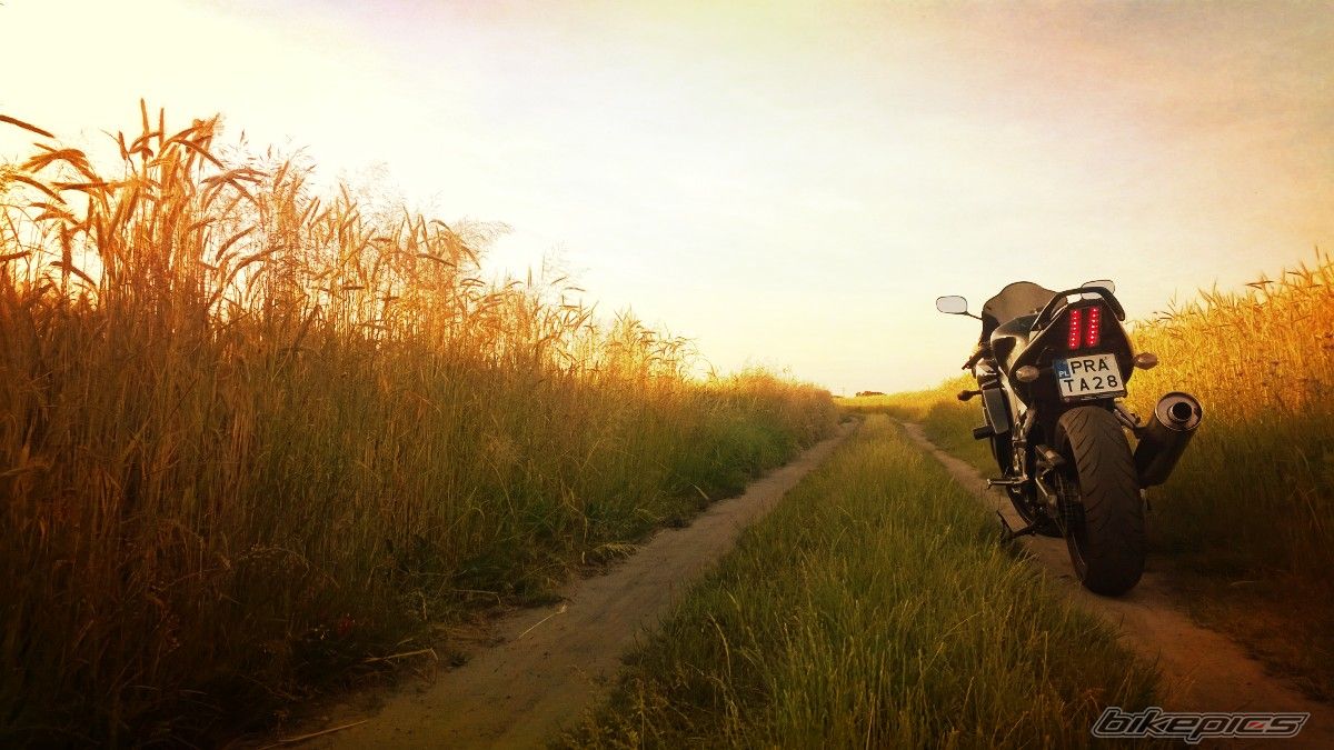 Photo 2677772