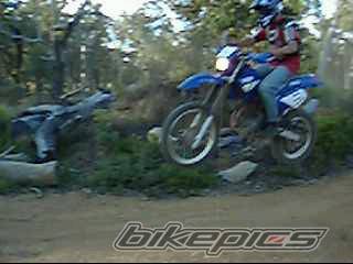 Photo 267787