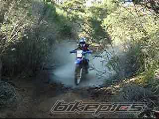 Photo 267788