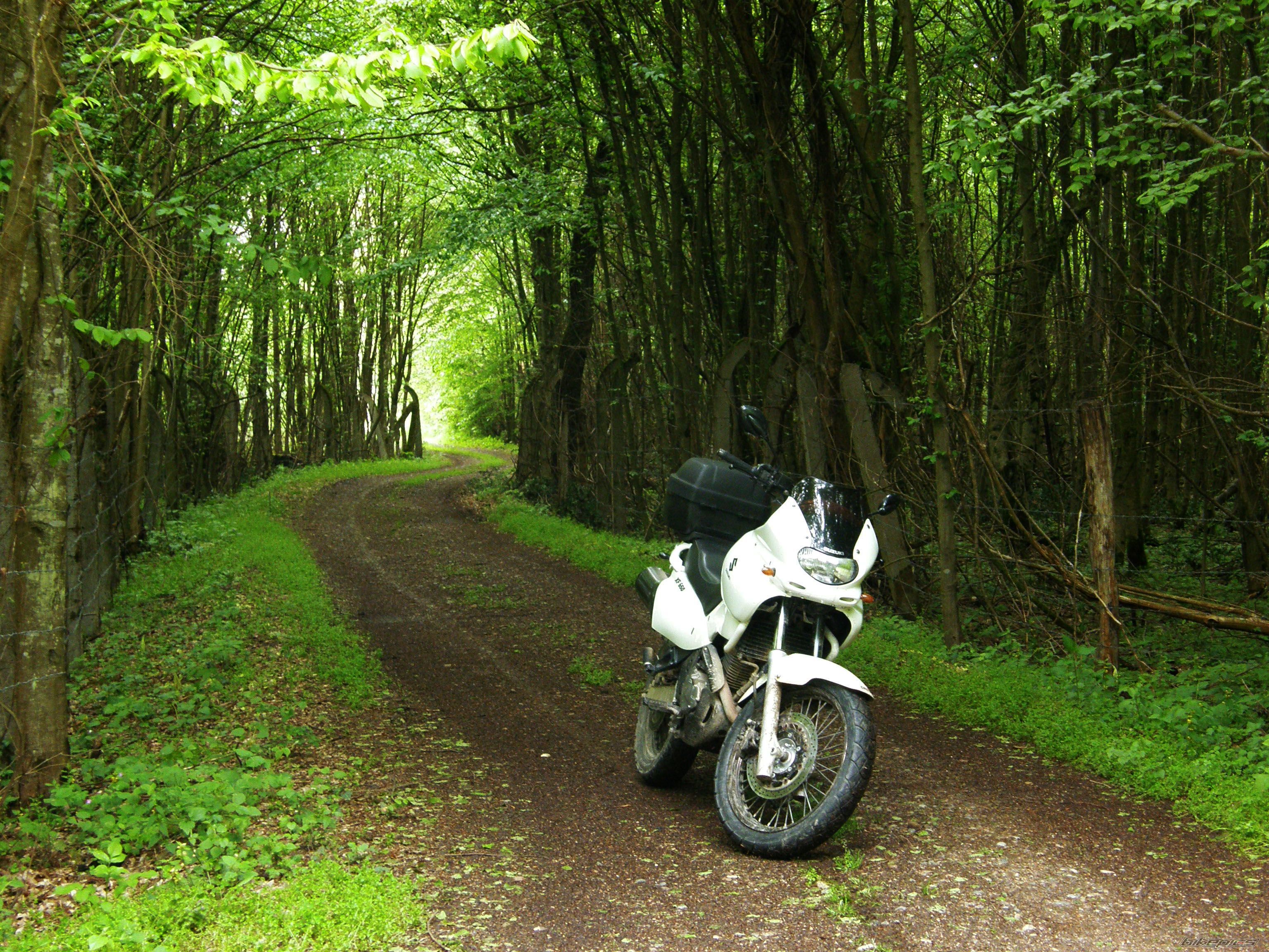 Photo 2677931