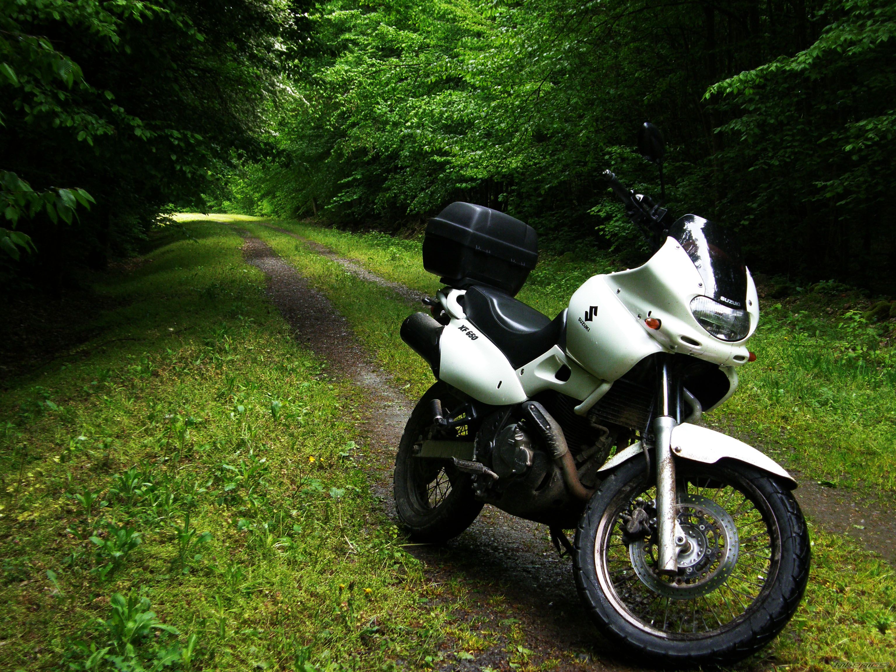 Photo 2677932