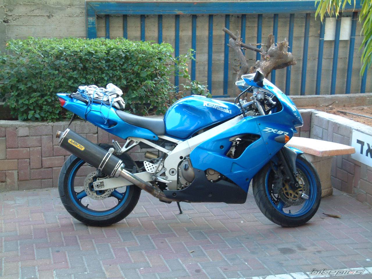 Photo 267794