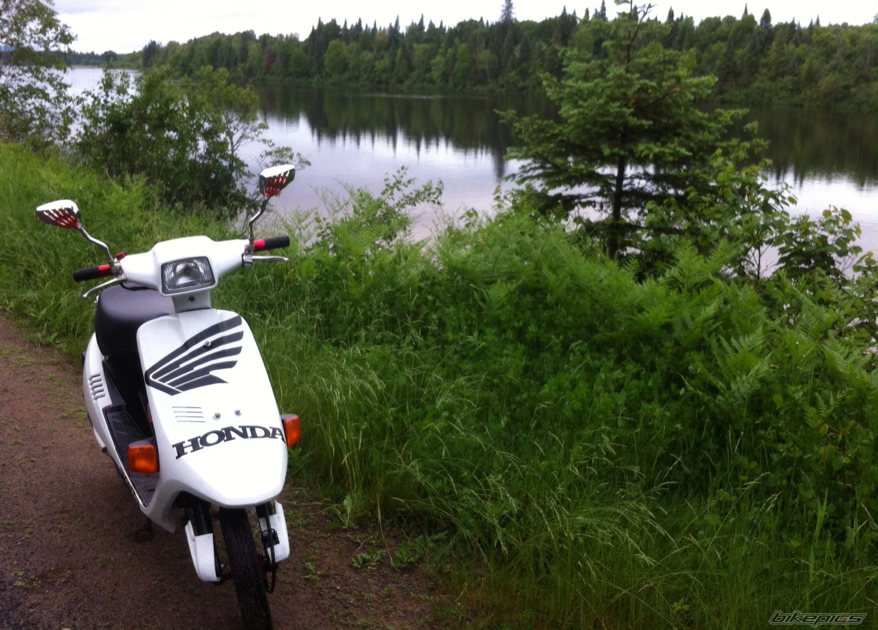 Photo 2677993