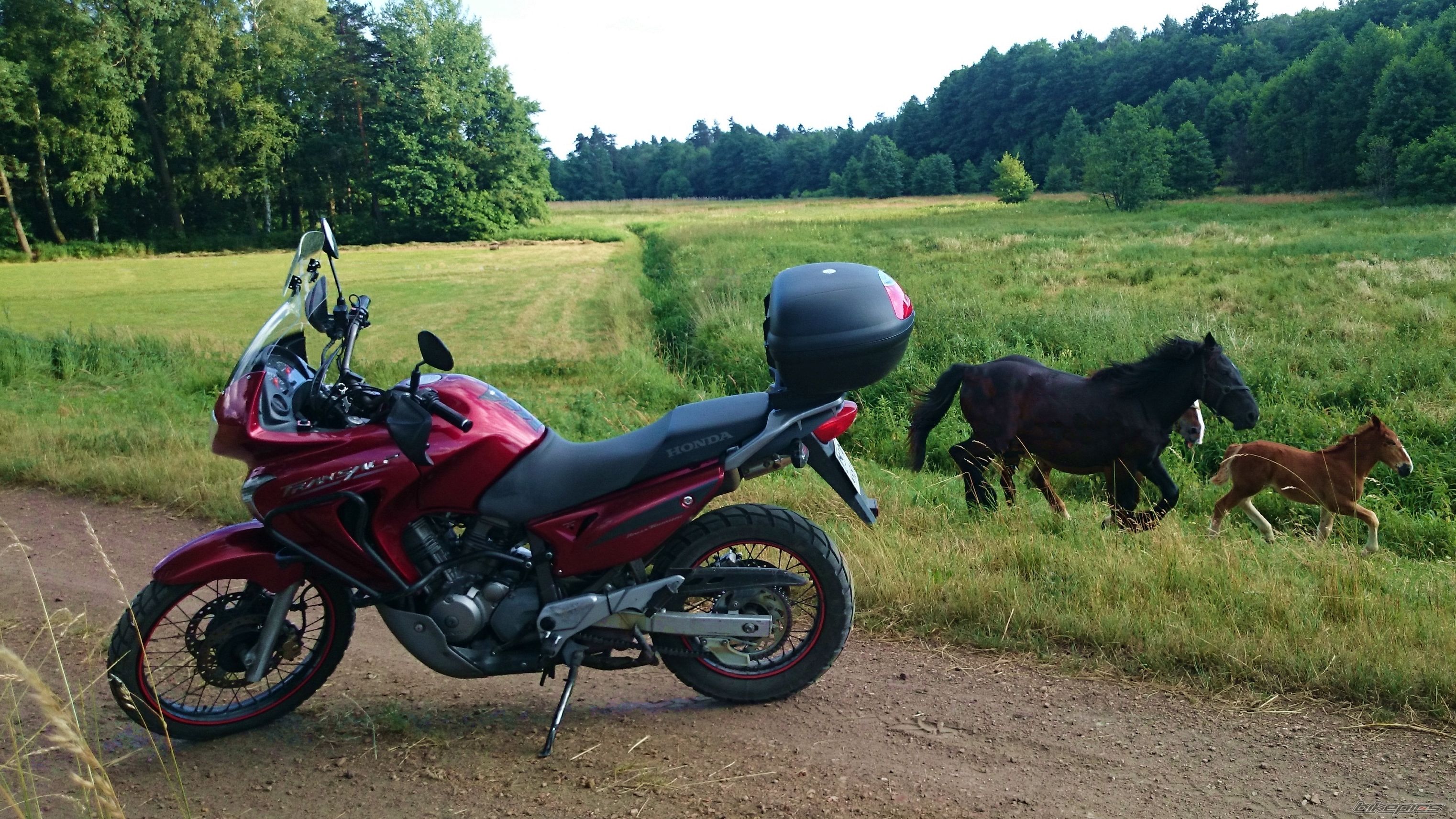 Photo 2678051