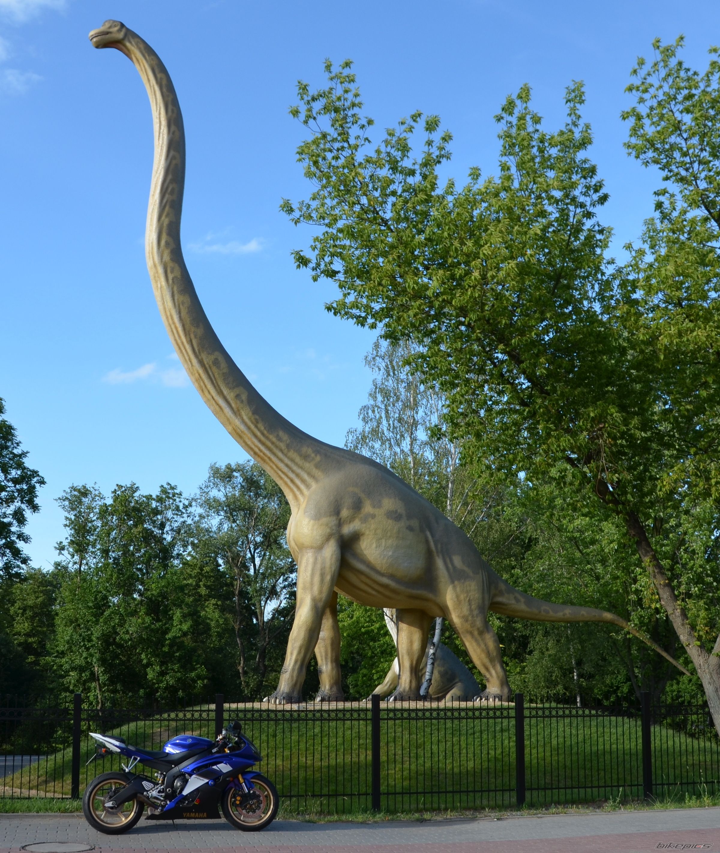 Photo 2678215