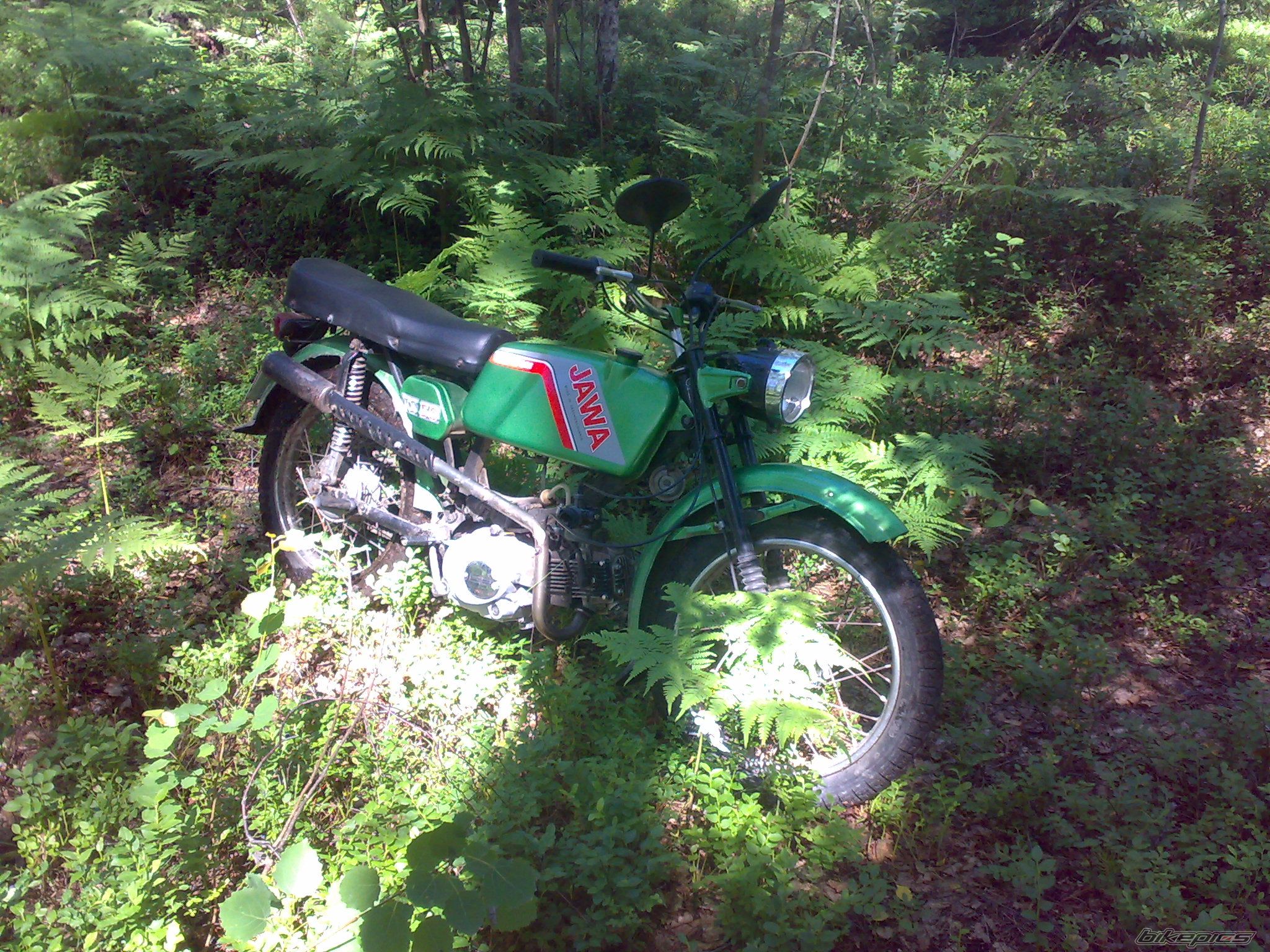 Photo 2678272